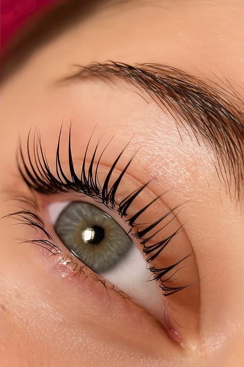 Rehaussement des Cils, Lash Lift, Lash Lamination, Rehaussement, des Cils, cils, Lash Lift Kit, Dlux Professional
