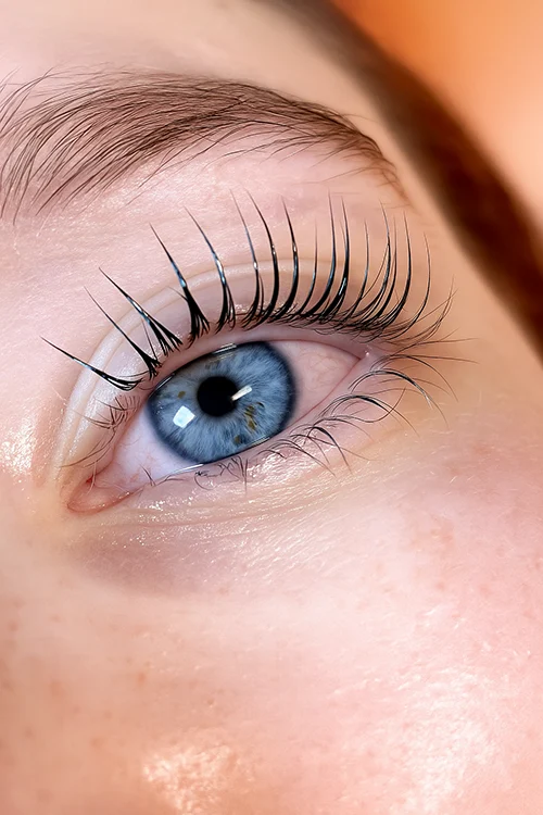 Korean Lash Lift, Lash Lift, Lash Lift Kit, Dlux Professional